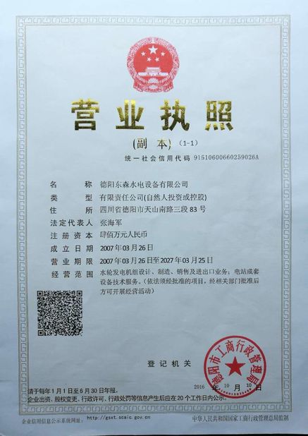 Κίνα Deyang Dongsen Hydropower Equipment Co., Ltd. Πιστοποιήσεις