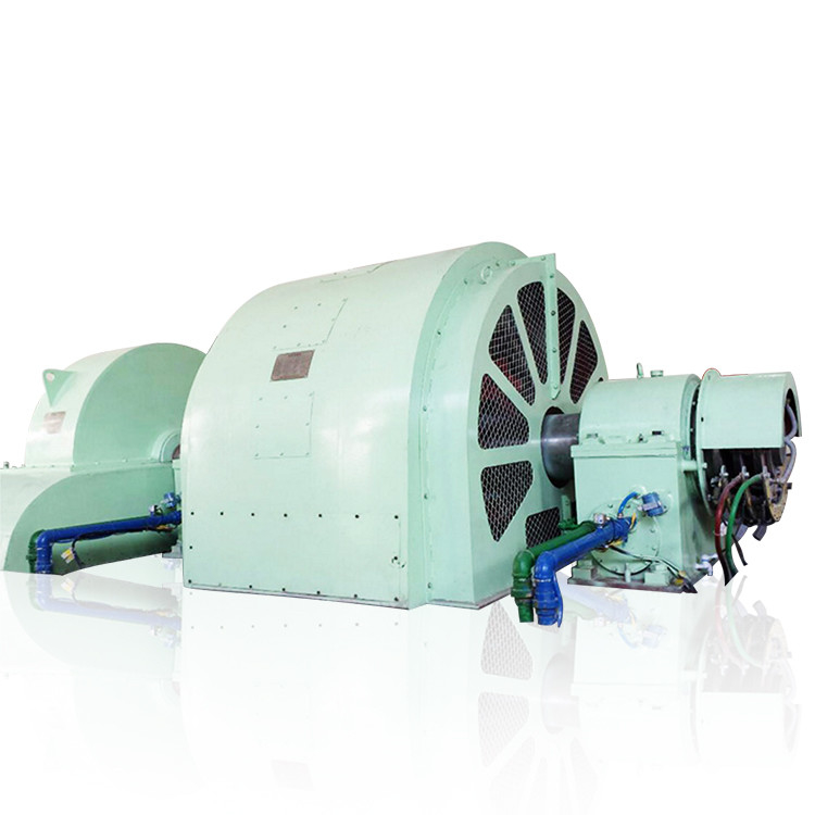 Γεννήτρια του τύπου Pelton 100kW-50MW με κατασκευή από ανοξείδωτο χάλυβα