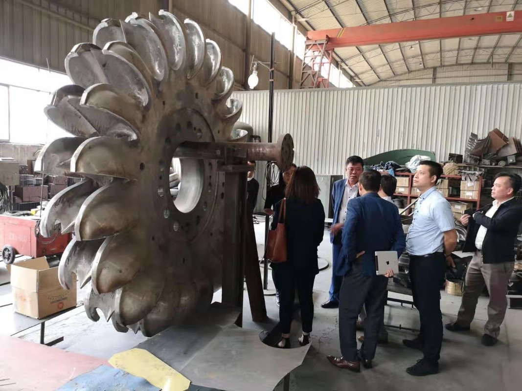 100kw-50mw 6-10kV F ονομαστική συχνότητα γεννήτρια τουρμπίνης Pelton με ατσάλινο τρέχοντα