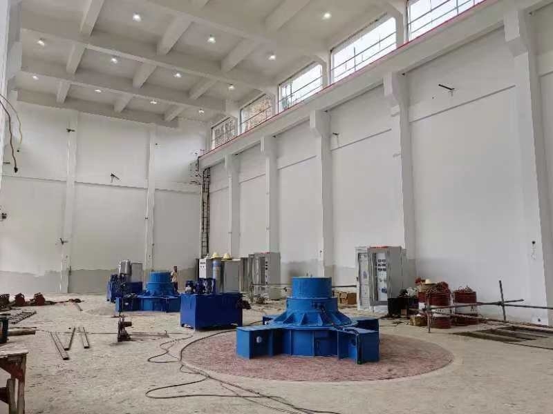 Προσαρμοσμένη χρωματική κατακόρυφη γεννήτρια τουρμπίνης νερού με στατική λειτουργία διέγερσης πυριτίου