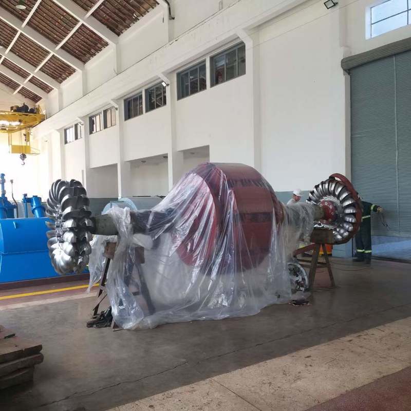 Φιλικά προς το Περιβάλλον Γεννήτριες Στροβίλων Pelton | Ανθεκτικός Υδροηλεκτρικός Εξοπλισμός για Βιώσιμα Έργα Παραγωγής Ενέργειας