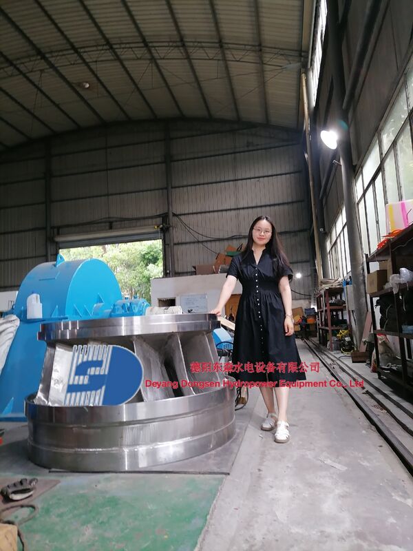 Τρόπος αυτόματου ελέγχου Φράνσις Γεννήτρια τουρμπίνης με εύρος ταχύτητας 150RPM έως 1000RPM και Carbon Steel Volute για υδροηλεκτρική ενέργεια