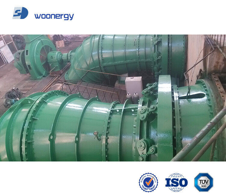 Ονομαστική ισχύς 1 έως 10 MW Υδρογεννήτρια Δρομέας Προσαρμοσμένο ύψος λεπίδας Λύση παραγωγής ενέργειας για υδροηλεκτρικά εργοστάσια