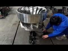 Δρομέας του Francis